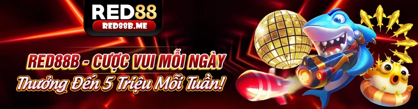 Hỗ trợ 24/7
